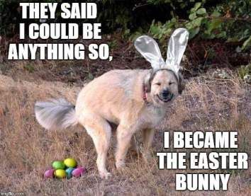 Best Easter Memes (3)