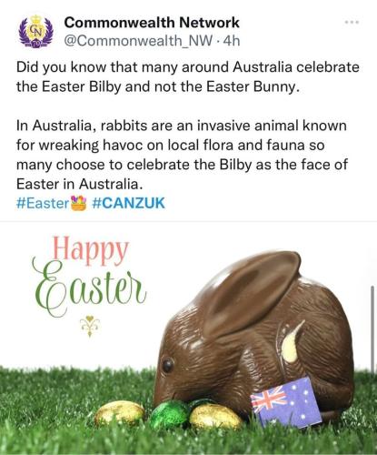 Bilby