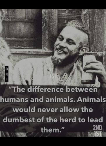 THE DIFFERENCE BETWEEN ANIMALS AND HUMANS
