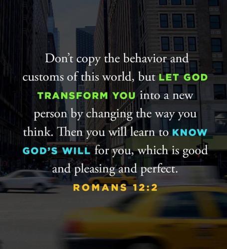 a1008cc7-b2ed-44b1-86e8-da5e5bfbd696