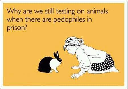 FB_IMG_1541600589981