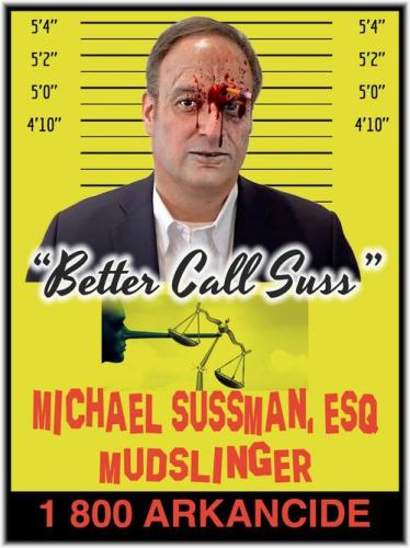 BETTER CALL SUSS3