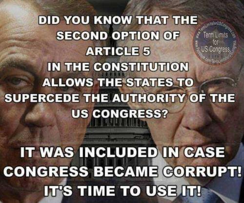 2nd option Article 5