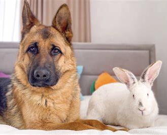 221DB8DC-26DC-4DB6-AADA-F87577F71523