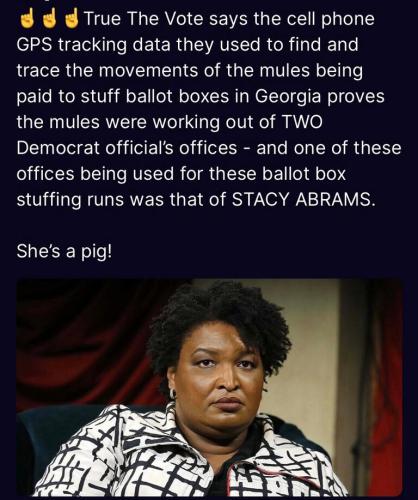 Abrams ballot stuffing