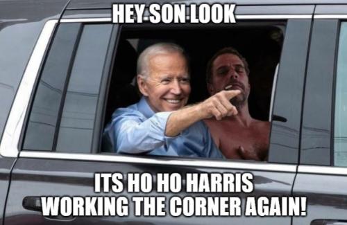 bidenheylookitshoho