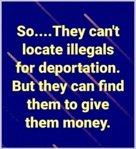 illegals & money