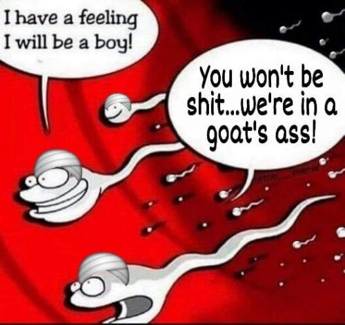 Goats ass soup