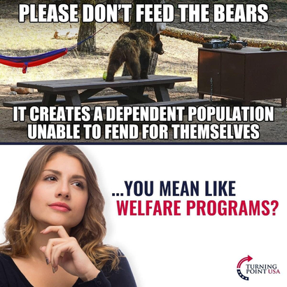 welfare programs