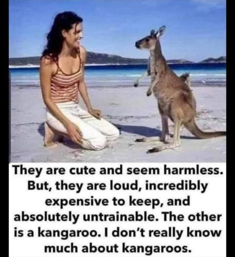 FB_IMG_1650786895550