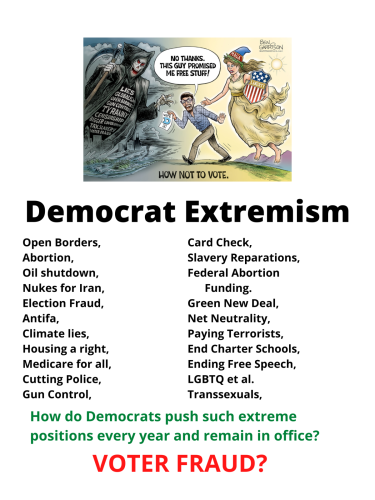 Democrat Extremism