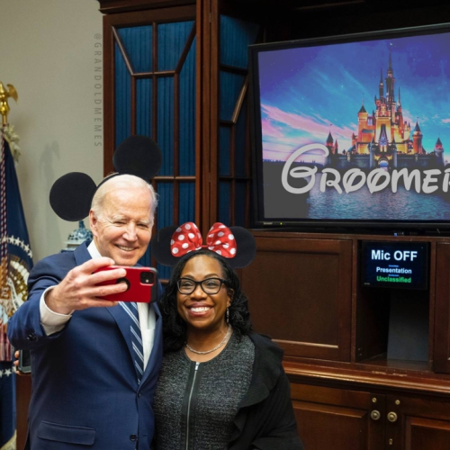 Mickey and Minnie at groomerland