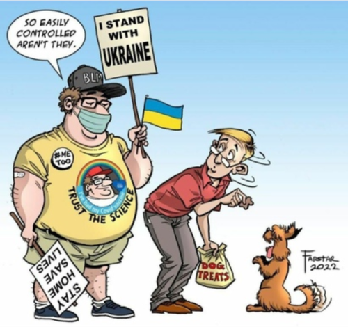 Screenshot_20220403-015303~2