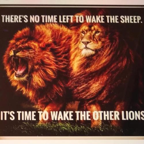 9D180D97-8566-4A82-84EE-0970E6DF6B33