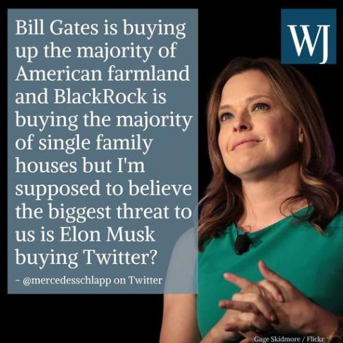 bill gates elon musk