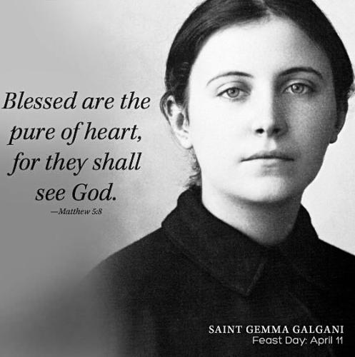 6FD17A76-5342-4B75-8E64-0E03BFC393DC