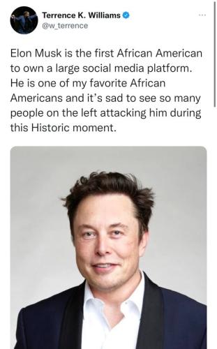ELON MUSK AFRICAN AMERICAN