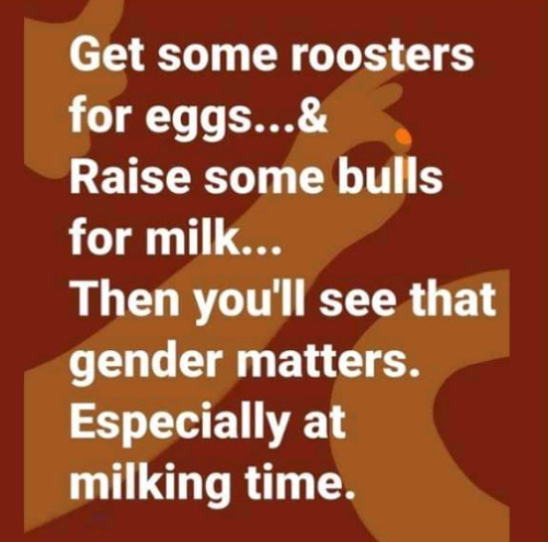 Capture+_2022-04-20-14-19-12(1)