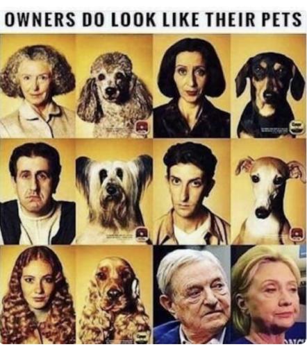 1E6D9D12-BF79-49E3-96C8-F44236B041C7