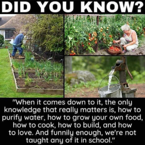 The only knowledge that matters