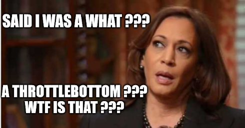 Screenshot 2022-04-22 at 18-16-18 Kamala Harris Meme Generator - Imgflip