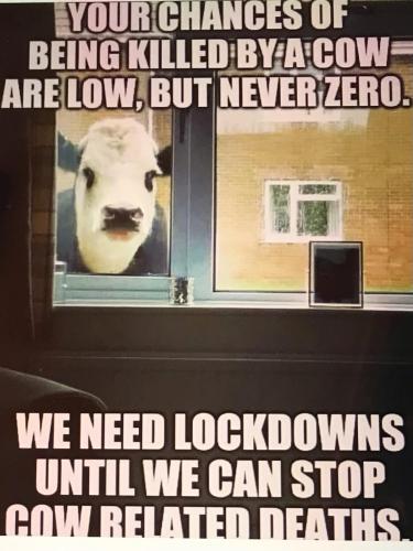 BB7BB3E9-CE64-4FC0-A3E6-10F0DBB00657