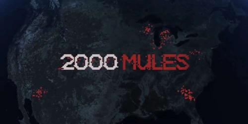2000-mules