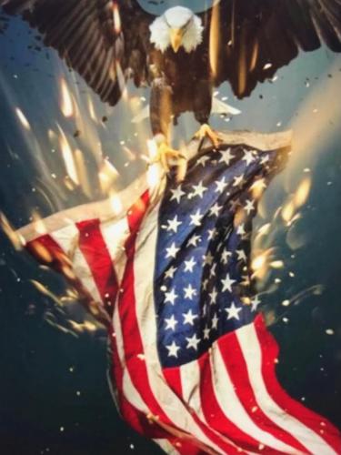 0BF937F8-E2FA-4F37-8AAD-C85F9FA5E6FC