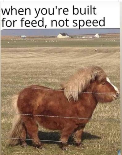 95FD46F4-D963-4996-8103-65316223EFF1