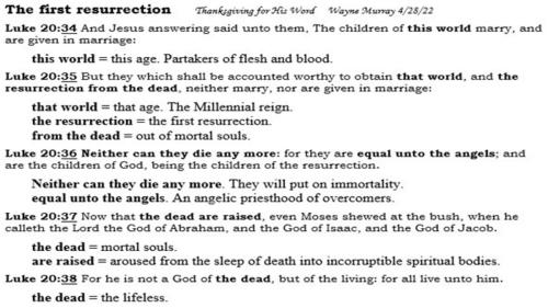 TheFirstResurrection