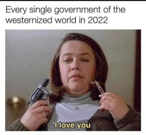 SingleGovtWesternized2022