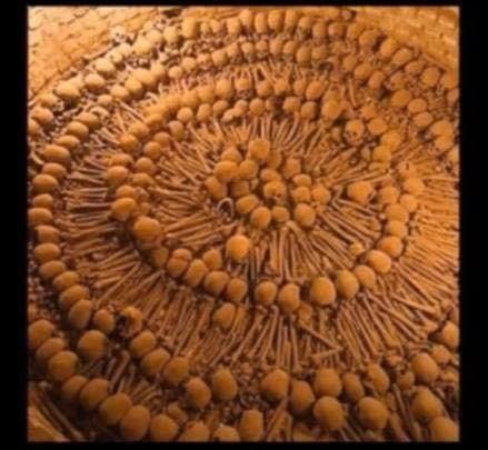 photo_2021-02-19_12-23-15