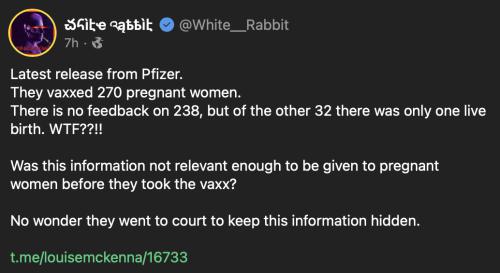 Pfizer & pregnant