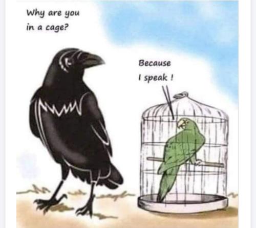 4AB59998-9B88-4535-B309-C436FD808F8C