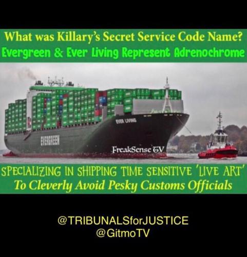 photo5985787747845126623