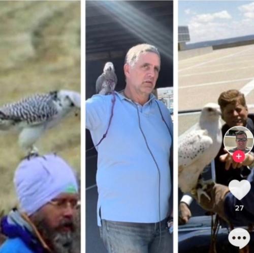 Screenshot_20220413-054634_Gallery