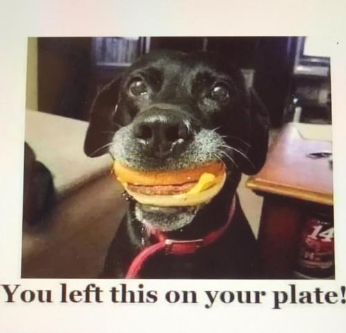 2B36D1AD-F044-46F5-9D50-EE2EA26100F1