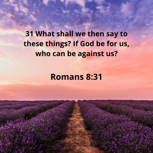 9ED59EC86AEA671B071DF6EBEC7D9751.bible68-min