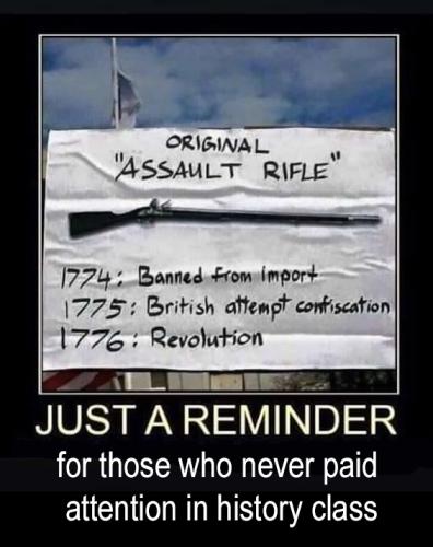 FB original assault rifle