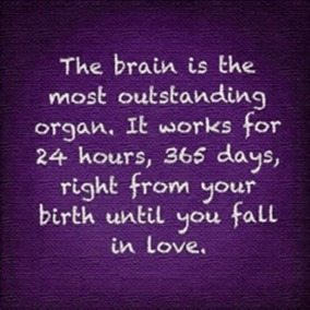 Brain - An outstanding organ