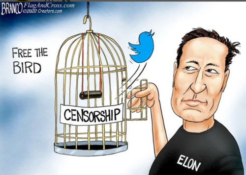 Screenshot_20220419-183450