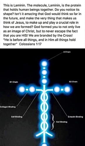 98C55D1D-B1E8-4B45-A02C-D757462B632C