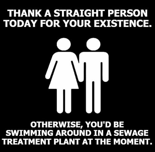 Thank a straight person today for your existence
