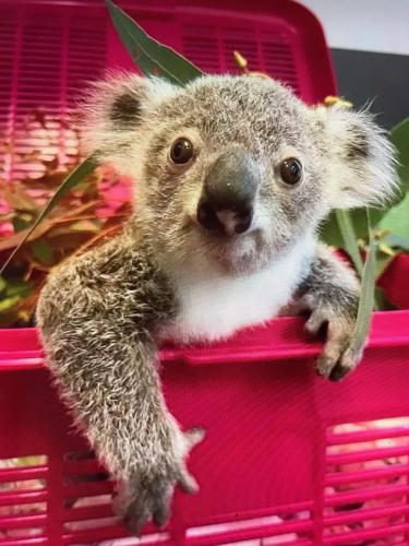 CD52D24D-C3FC-4815-9607-143AC2221B5F