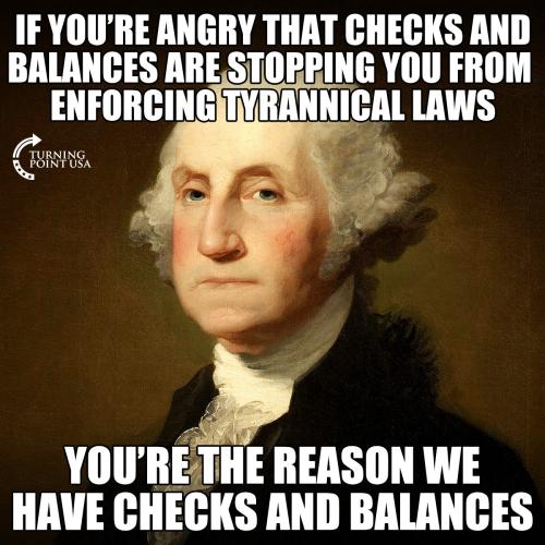 AngryChecksBalancesTyrannicalLaws