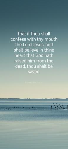 DD6F9EC3-9ADD-4F99-801A-247C75D6681F