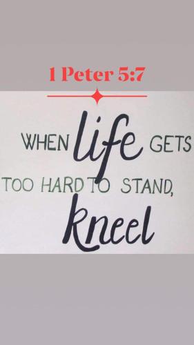 FB_IMG_1650039366397