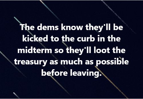 dems looting