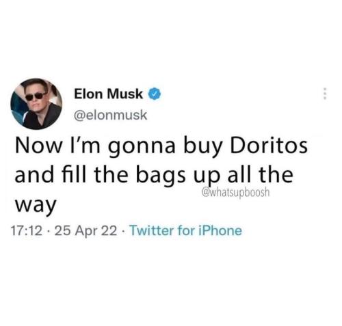 elon musk doritos