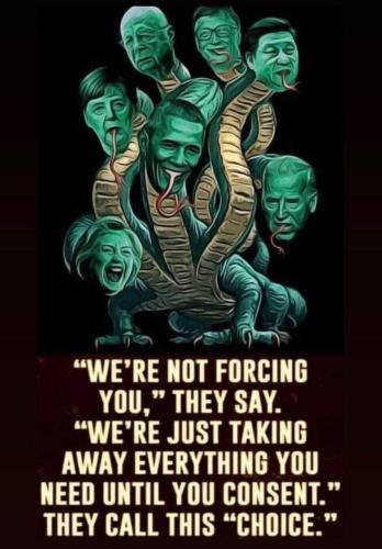 hillary hydra